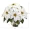 14" White Poinsettia Arrangement in Designer Silver Bowl
